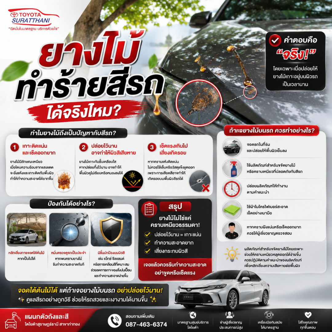 ยางไม้ทำร้ายสีรถได้จริงไหม? รู้ไว้ก่อนจอดรถใต้ต้นไม้